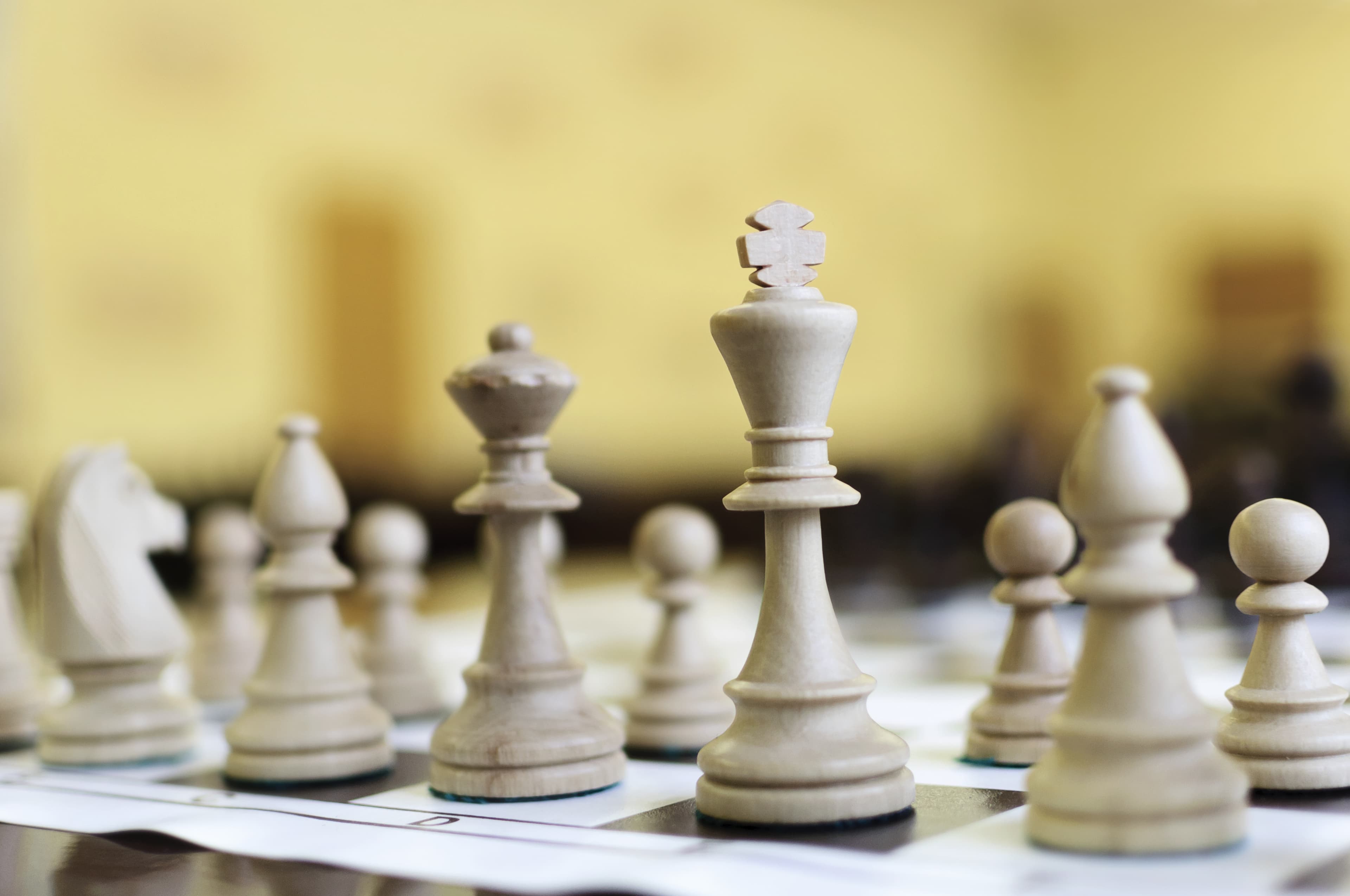 🧠 Cómo Elegir un Tablero de Ajedrez que Impresione: Guía Rápida para Jugadores Modernos